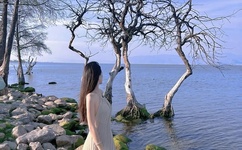 香蕉直播无限看-丝瓜ios苏州晶体公司